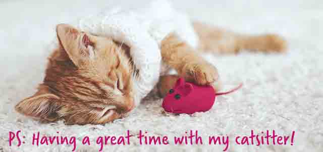 Cat lounging in a little white knit sweater with a toy mouse with the caption - PS, having a great time with my cat sitter!